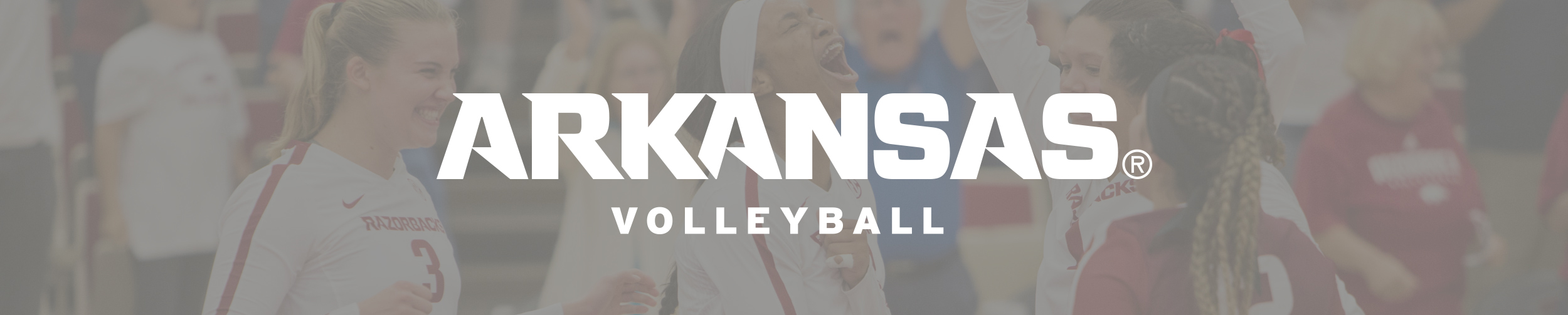 Volleyball Arkansas Razorbacks